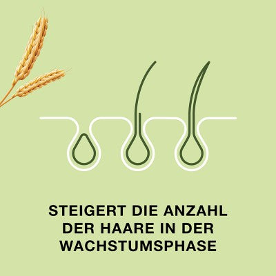 Priorin Kapseln gegen Haarausfall