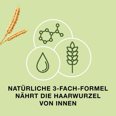 Priorin Kapseln gegen Haarausfall