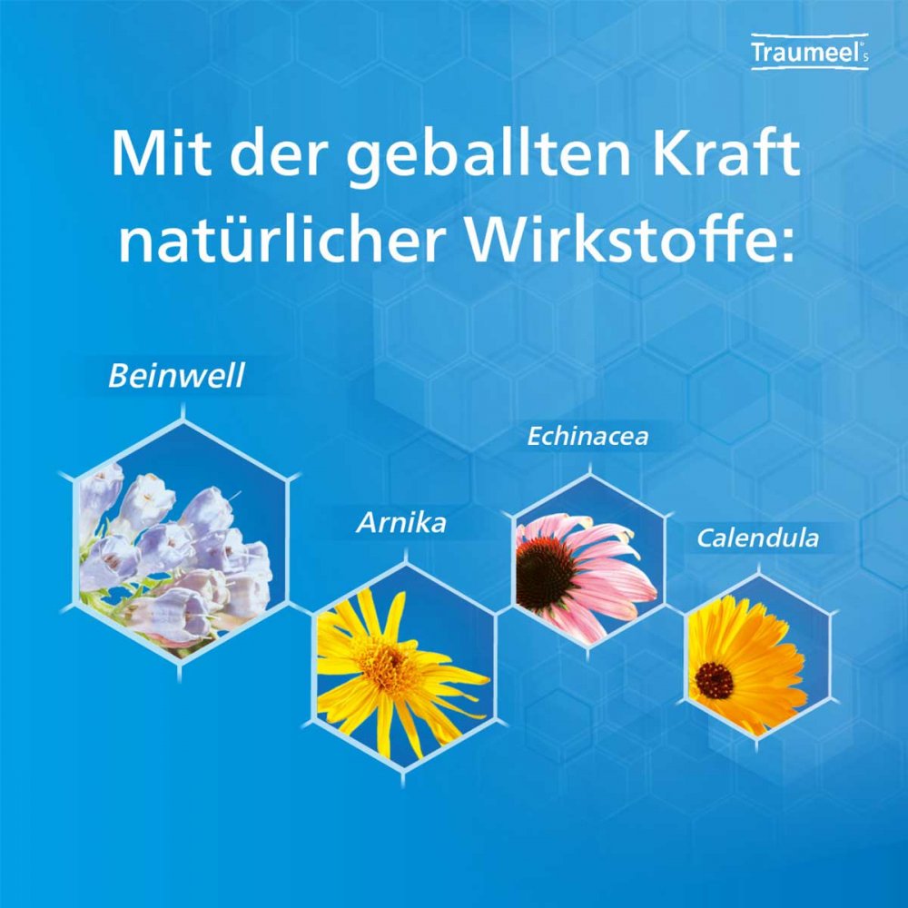 Traumeel® S Creme - Natürliche Linderung bei Schmerzen und Entzündungen.